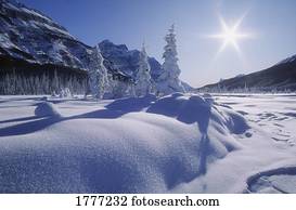 Snow covered landscape, Banff National Park, Alberta, Canada