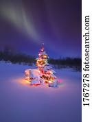 A Christmas tree glowing at night under the Northern lights Alberta Canada