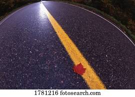 estrada, de, mudança