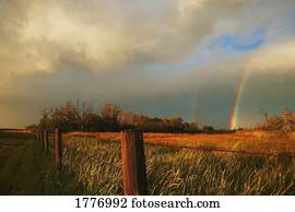 arco íris, em, um, campo