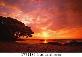 Stunning sunset over the sea