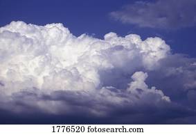 Cumulus clouds