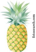 Pineapple Single Pineapple Single