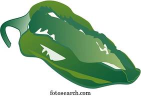 Poblano Pepper Single Poblano Pepper Single