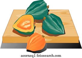 Acorn Squash Illustrations and Clip Art. 16 acorn squash royalty free