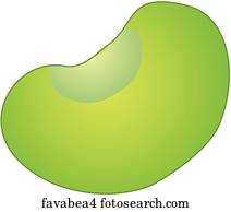 Fava Beans-One Fava Beans-One