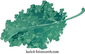 Kale-One Kale-One