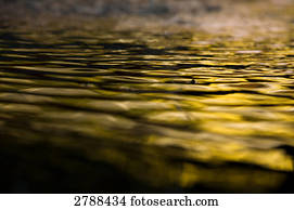 Natural pattern in lake 