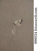 A footprint in the sand