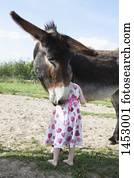 vista traseira, de, menina, ficar, com, mula, burro, ligado, campo