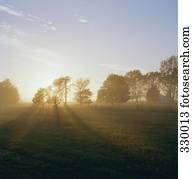 일몰, 위의, 들판