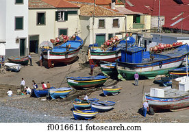 portugal, madeira, camara, de, lobos, porto