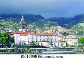 portugal, madeira, funchal