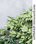 Overhead view of bunches of leaves