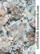 Overhead view of dried leaves