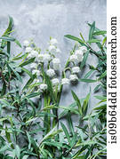 Overhead view of flowers and leaves