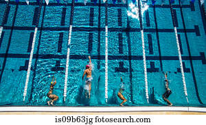 Overhead view of swimmers in pool