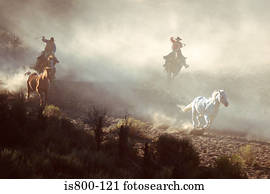 vaqueiros, perseguindo, cavalos selvagens