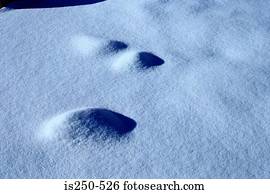 Footprint in snow
