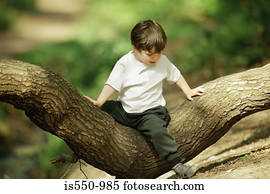 menino sentando, em, um, árvore