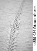 Track in the sand