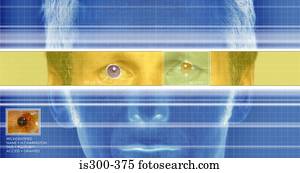 íris, reconhecimento, sistema