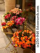 Roses outside paris florist