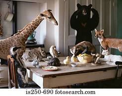 Füchse Stock Photo Bilder 41.106 füchse Lizenzfreie Bilder und Fotos