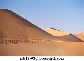 deserto