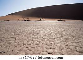 deserto