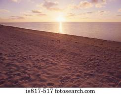 Peaceful beach scene