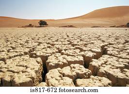 rachado, solo, em, deserto