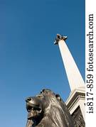 Lion statue and nelsons column