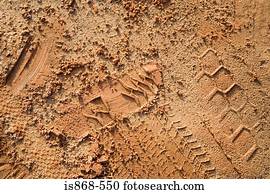 Footprint and tracks in sand