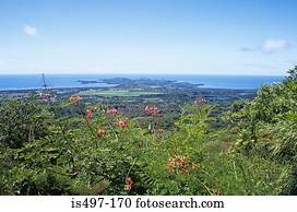 Nosy be coastal scene