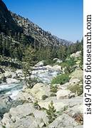 River valley corsica