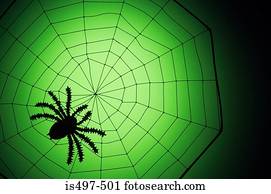 aranha, ligado, um, teia