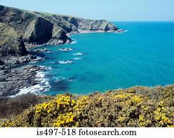 cornish, costa