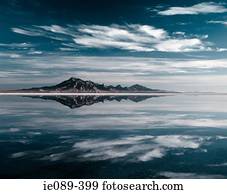 inundado, deserto, nevada