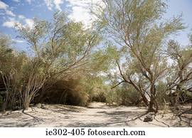 Death valley national park