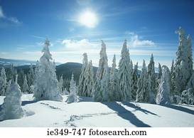 Beautiful winter scene