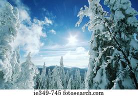 Beautiful winter scene