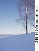 Peaceful winter scene