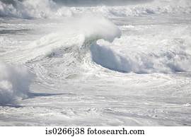 Ocean wave 