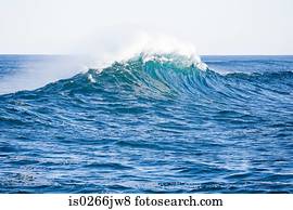 Ocean wave