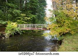 Wooden bridge in silver falls state park