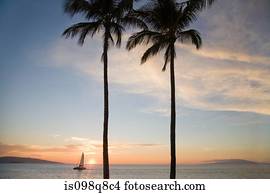 costa, em, pôr do sol