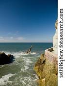 mergulhador penhasco, em, mazatlan