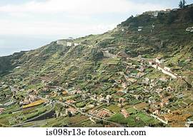 camara, de, lobos, madeira