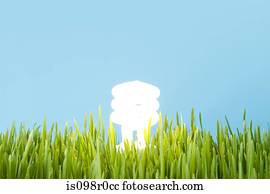 um, energia, poupar, lightbulb